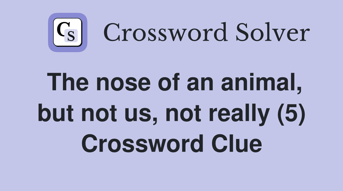 The nose of an animal, but not us, not really (5) Crossword Clue